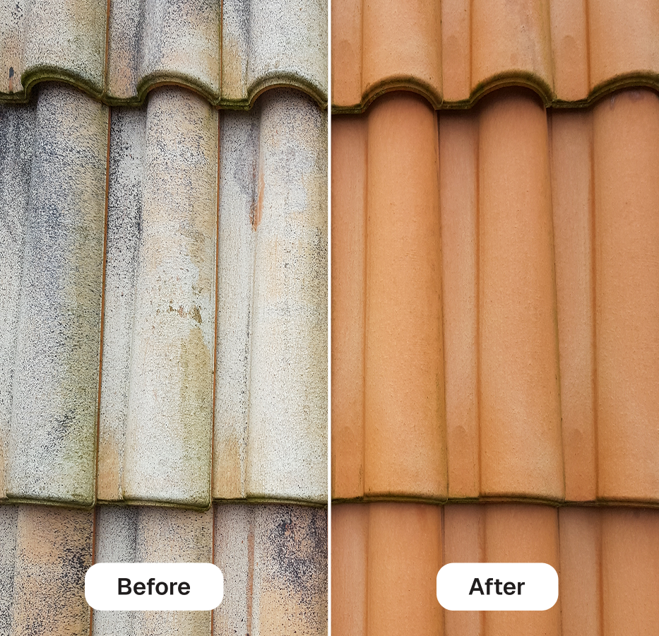 67c7caa98c98dade9b116bc2_Group 1597884509