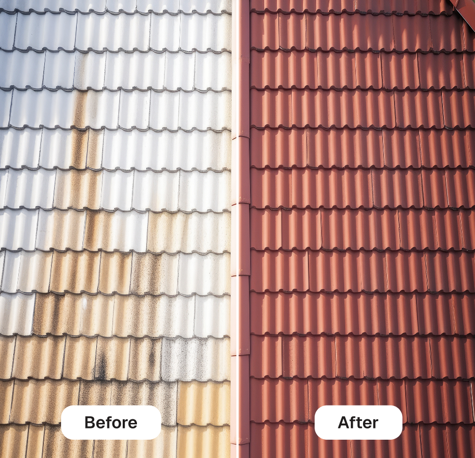 67c7cb09f4bcda35f899c0dd_Group 1597884510 (1)